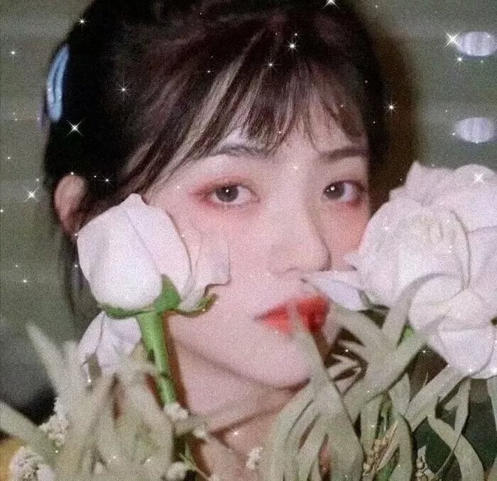 比翼双飞 在线观看